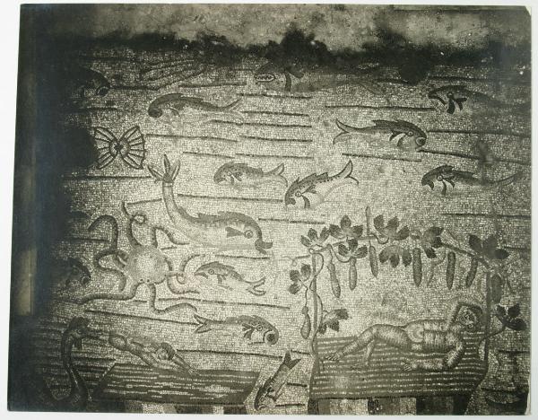 Aquileia - Basilica. Presbiterio, particolare della decorazione musiva pavimentale raffigurante Giona rigettato dal pistrice e Giona che riposa sotto la cucurbita (IV sec.).