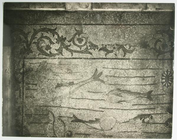 Aquileia - Basilica. Presbiterio, fondale marino e bordura con tralci di acanto, particolare della decorazione musiva pavimentale (IV sec.).