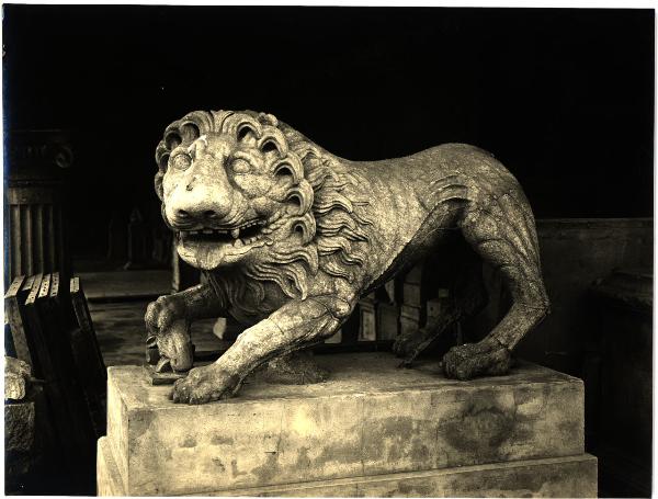 Aquileia - Museo Archeologico. Lapidario, leone in pietra.