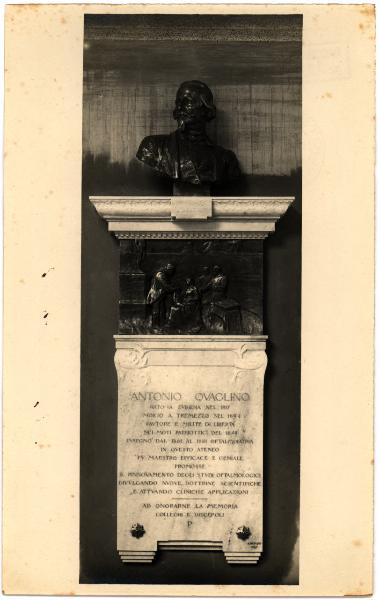 Pavia - Università. Achille Alberti, lapide con busto in memoria di Antonio Quaglino, scultura in pietra e bronzo (1909).