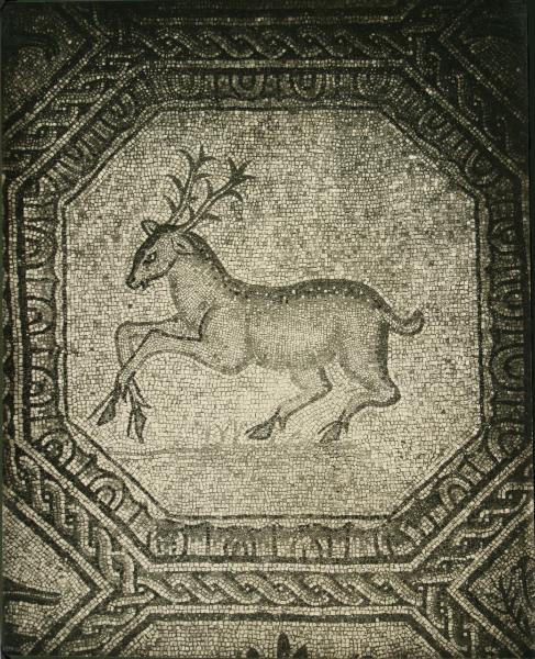 Aquileia - Basilica. Particolare del mosaico pavimentale con cervo (IV sec.).