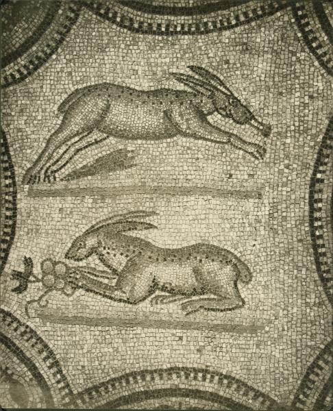 Aquileia - Basilica. Particolare del mosaico pavimentale con animali (IV sec.).