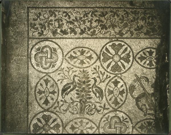 Aquileia - Basilica. Cripta degli Scavi, particolare del mosaico pavimentale con fagiani affrontati a lato di un tirso e motivi geometrici (IV sec.).