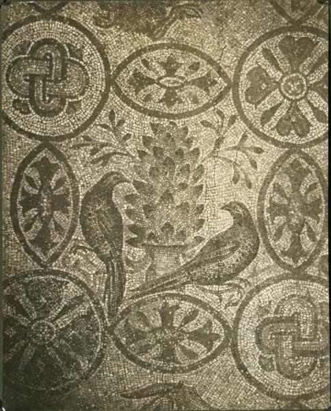 Aquileia - Basilica. Cripta degli Scavi, particolare del mosaico pavimentale con merli affrontati a lato di un vaso con alberello e motivi geometrici (IV sec.).