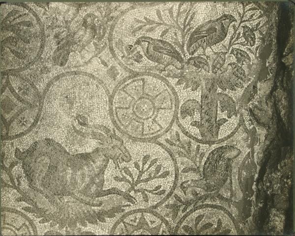 Aquileia - Basilica. Cripta degli Scavi, particolare del mosaico pavimentale raffigurante una nidiata di pernici vegliata dai genitori, un capro, uccelli e motivi geometrici (IV sec.).