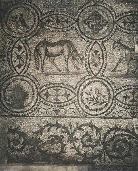 Aquileia - Basilica. Mosaico pavimentale, particolare della decorazione con figure di animali e del tralcio di acanto della cornice (IV sec.).