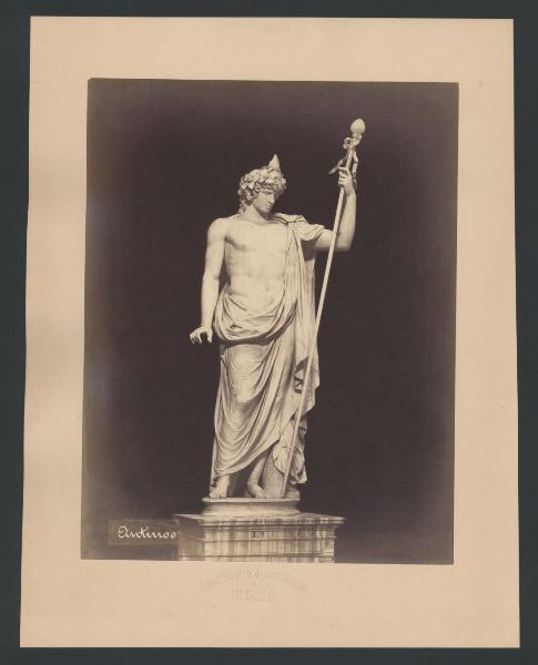 Roma - Museo Pio Clementino. Antinoo, statua in marmo (da Palestrina).