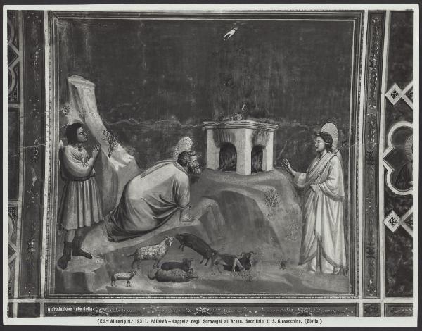 Padova - Cappella degli Scrovegni. Giotto, L'angelo annuncia a S. Gioachino sacrificante che la sua preghiera sarà esaudita, affresco (1305-6).