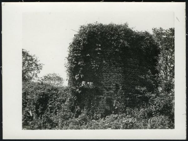 Rado - Rovine della Chiesa di S. Giorgio. Resti della mura della cappella.