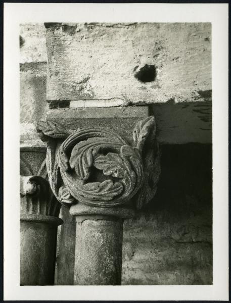 Vercelli - Basilica di S. Andrea. Interno, capitello con motivo fitomorfo.