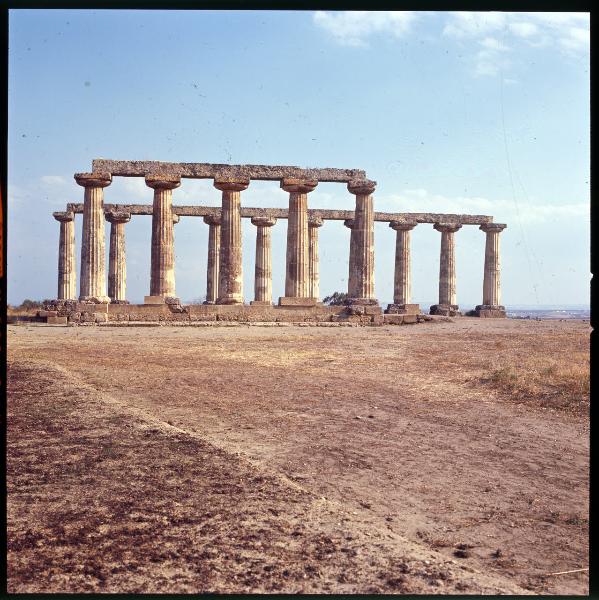 Basilicata - Bernalda - Area Archeologica del Metaponto - Tavole Palatine, o Tempio di Hera