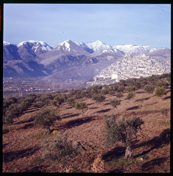 Calabria - Morano Calabro - Montagne innevate - Ulivi - Veduta