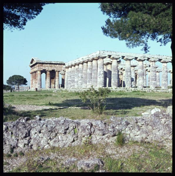 Campania - Parco archeologico di Paestum - Tempio di Atena - Tempio di Nettuno - Tempio di Hera