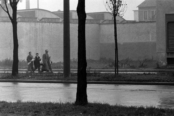 Milano - Viale Certosa - Famiglia