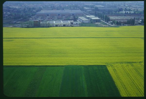 Lombardia. Campi coltivati a grano. Veduta aerea.