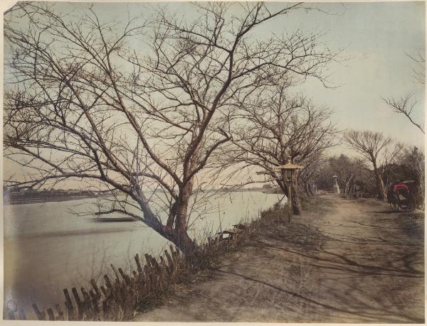 Giappone - Fiume - Alberi - Lampione - Un jinrikisha parcheggiato sulla destra