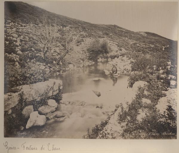 Palestina/Israele - Cisgiordania - Gerico - Terr es-Sultan - Sorgente chiamata Fontana di Eliseo