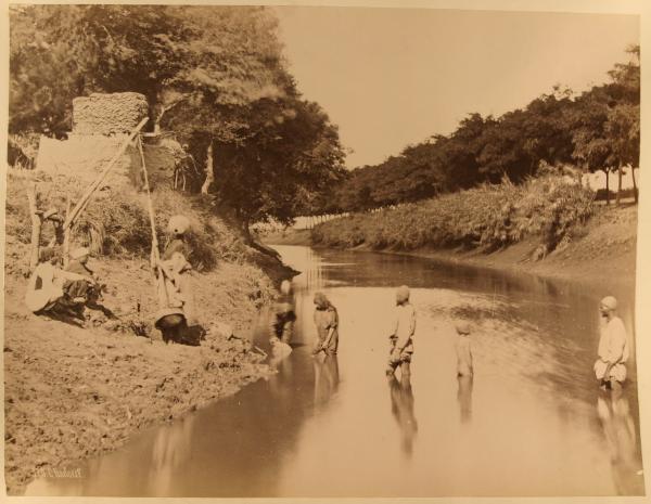 Egitto - Canale d'acqua - Persone in acqua - Tre ragazzi manovrano uno strumento per attingere l'acqua chiamato chadouf