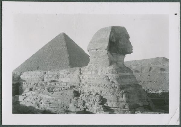 Egitto - Il Cairo - Piana di Giza - Grande Sfinge - Piramide di Cheope