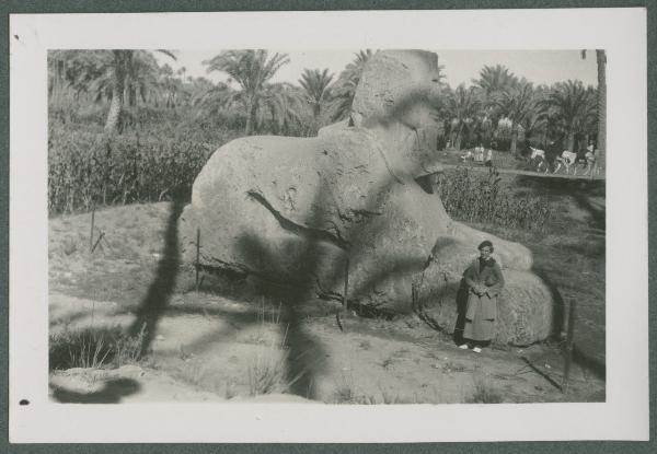 Ritratto femminile - Marieda Di Stefano - Egitto - Il Cairo - Menfi - Complesso del tempio di Ptah - Parte orientale - Giardino delle sculture - Sfinge, detta Sfinge di alabastro