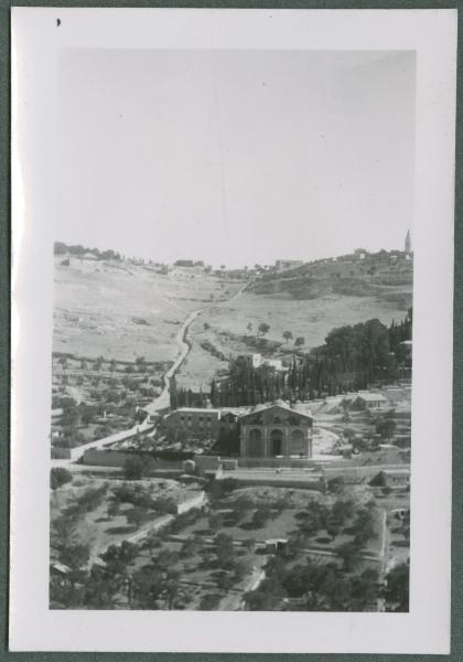 Israele - Gerusalemme - Monte degli Ulivi - Getsemani, orto degli ulivi - Veduta - Panorama