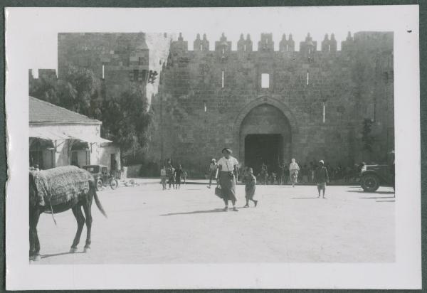 Ritratto femminile - Marieda Di Stefano - Persone - Asino - Automobili - Israele - Gerusalemme - Porta di Damasco