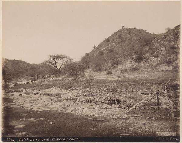 Eritrea - Ailet - Pianura - Sorgenti d'acqua calda protette da arbusti - Particolare