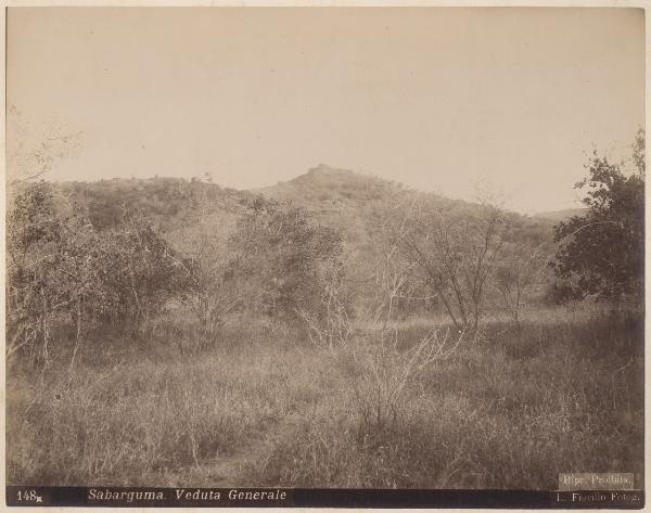 Eritrea - Sabarguma - Vallata - Alberi