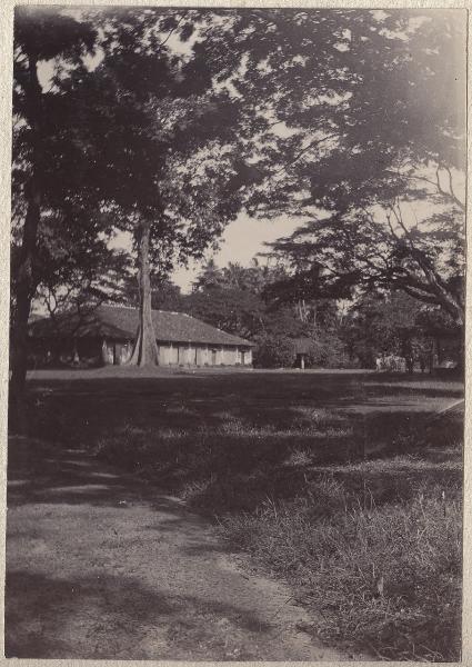 Sri Lanka - Colombo - Dintorni - Campagna - Albero - Edificio