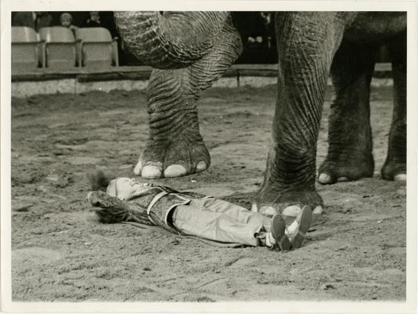 Monaco - Circo Knie - Un bambino e un elefante durante un'esibizione