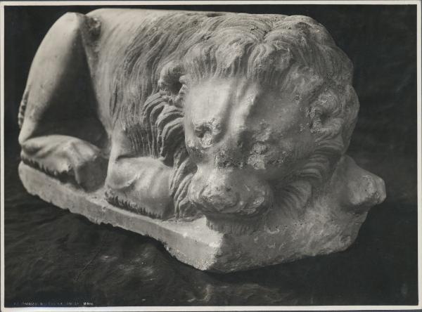 Scultura - Leone stiloforo (frammento di tomba viscontea) - Giovanni di Balduccio - Milano - Castello Sforzesco - Museo di Arte Antica (già nella basilica di S. Tecla)