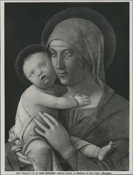 Dipinto - Andrea Mantegna - Madonna con Bambino - Bergamo - Accademia Carrara