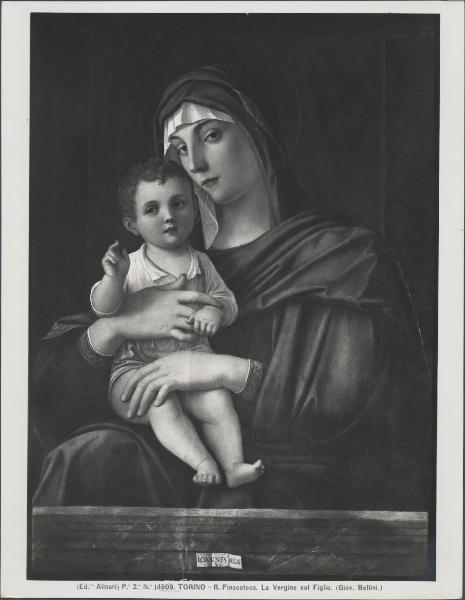 Dipinto - Madonna con Bambino - Giovanni Bellini - Torino - Pinacoteca dell'Accademia Albertina