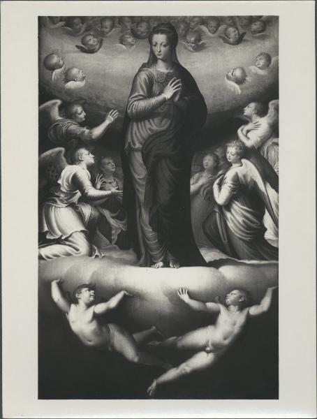 Dipinto - Madonna in gloria sorretta da due angeli - Bernardino Campi - Cremona - Museo Civico Ala Ponzone