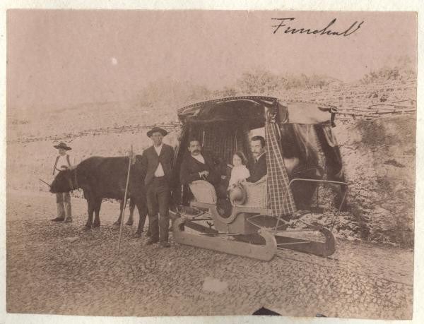 Portogallo - Isola di Madera - Funchal - Carro con pattini trainato da un bue - Contadini