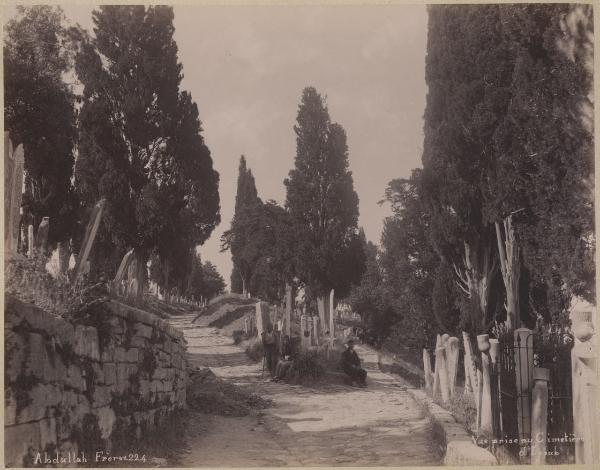 Turchia - Istanbul - Eyup - Viale - Cimitero - Cipressi