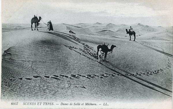 Algeria - Scene e Tipi - Paesaggio desertico