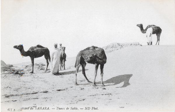 Algeria - Deserto del Sahara