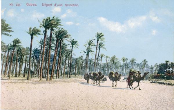 Tunisia - Gabes - Partenza di una carovana