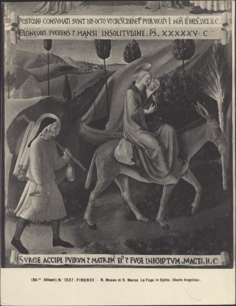 Dipinto - Fuga in Egitto - Beato Angelico (e aiuti) - Firenze - Museo di San Marco