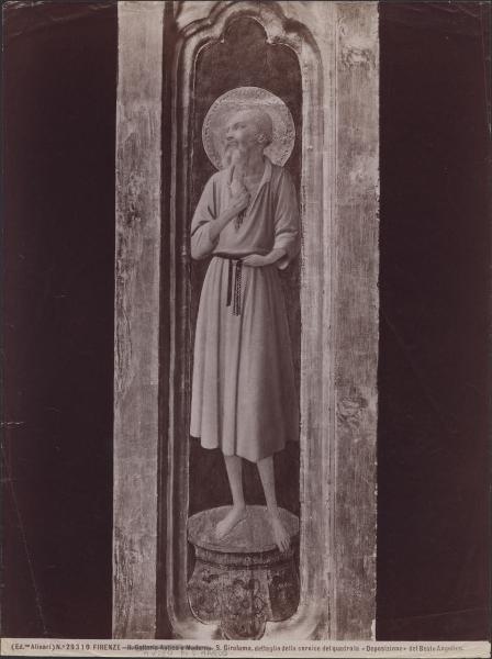 Dipinto - Deposizione di Cristo (particolare di S. Girolamo) - Beato Angelico - Firenze - Museo di San Marco