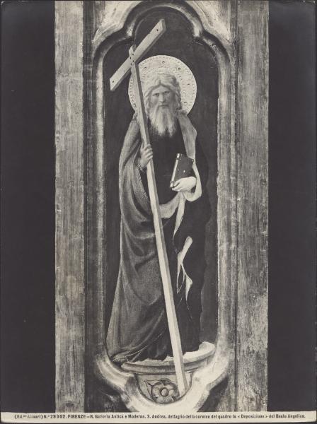 Dipinto - Deposizione di Cristo (particolare di S. Andrea) - Beato Angelico - Firenze - Museo di San Marco