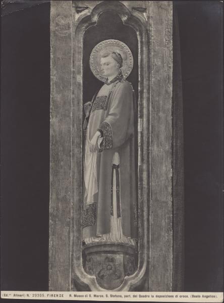 Dipinto - Deposizione di Cristo (particolare di S. Stefano) - Beato Angelico - Firenze - Museo di San Marco