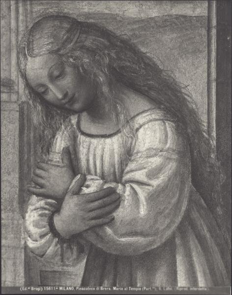 Dipinto murale - Dedicazione di Maria al Tempio (particolare) - Bernardino Luini - Milano - Pinacoteca di Brera