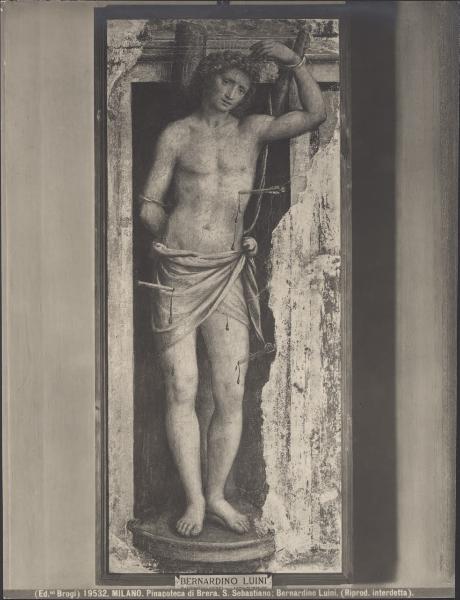 Dipinto murale - San Sebastiano - Bernardino Luini - Milano - Pinacoteca di Brera