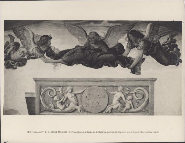 Dipinto murale - Salma di Santa Caterina trasportata dagli angeli - Bernardino Luini - Milano - Pinacoteca di Brera (da Sesto San Giovanni - Villa Rabia detta "La Pelucca")