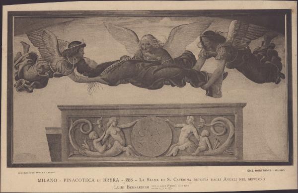 Dipinto murale - Salma di Santa Caterina trasportata dagli angeli - Bernardino Luini - Milano - Pinacoteca di Brera (da Sesto San Giovanni - Villa Rabia detta "La Pelucca")
