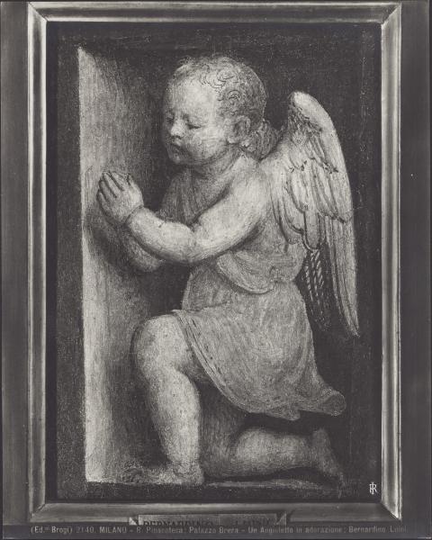 Dipinto murale - Angelo in adorazione - Bernardino Luini - Milano - Pinacoteca di Brera