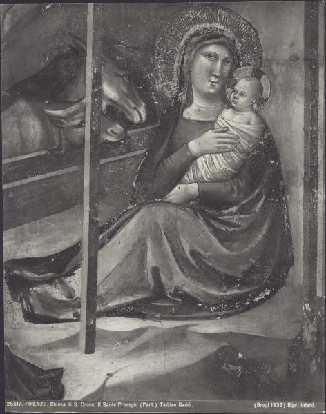 Dipinto murale - Presepio (particolare di Maria Vergine con Gesù) - Taddeo Gaddi - Firenze - Basilica di S. Croce - Cappella Baroncelli