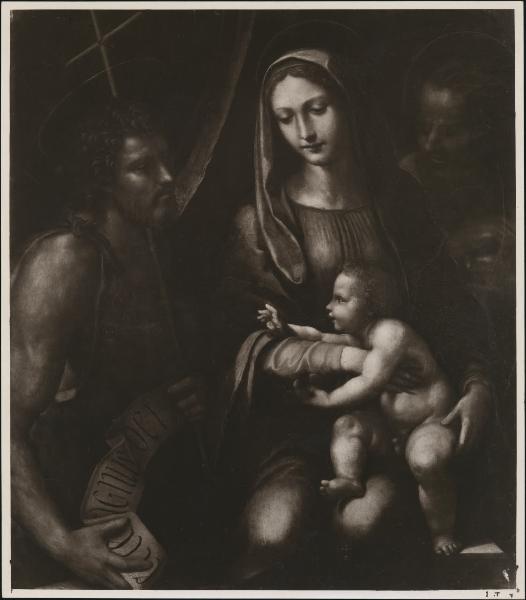 Dipinto - Madonna con Bambino e Santi - Sodoma - già Milano - Collezione Giovanni Treccani degli Alfieri - Cesena - collezione Cassa di Risparmio